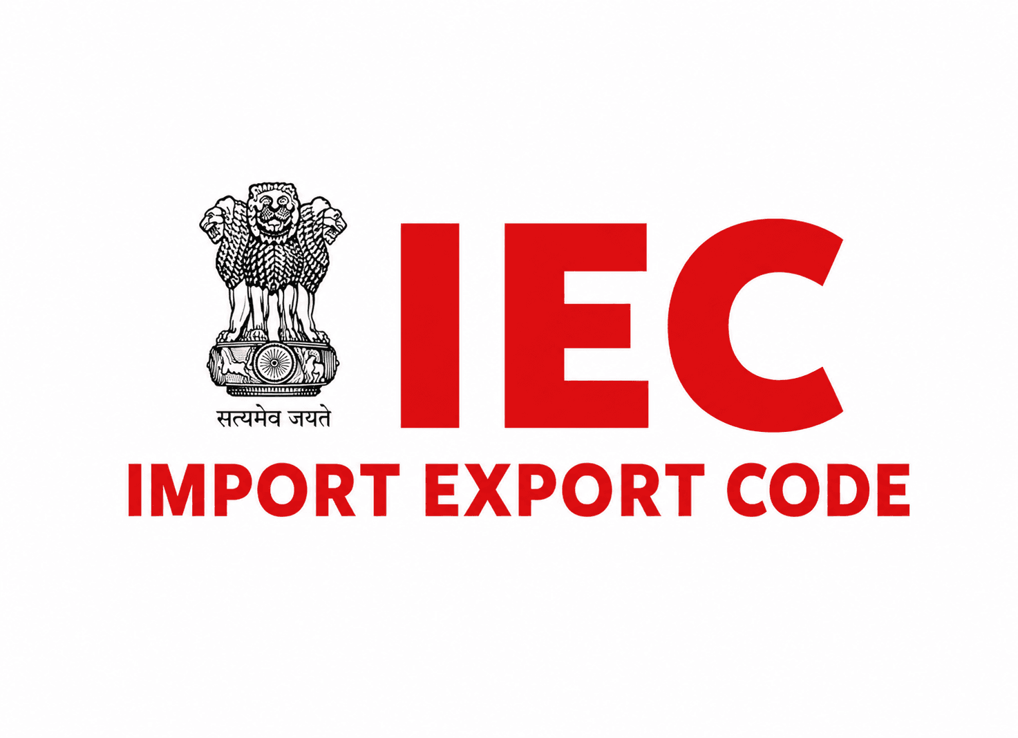 IEC Import Export